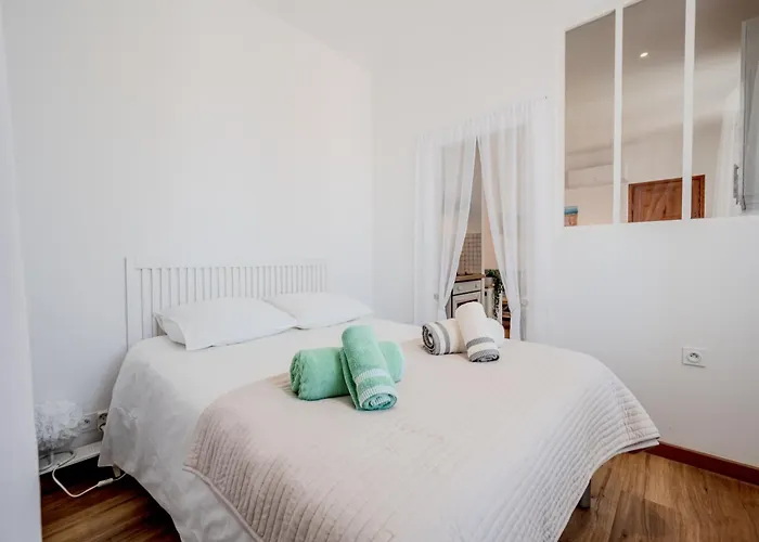 Le Picaflor Clim Wifi Hyper Centre Lejlighed *