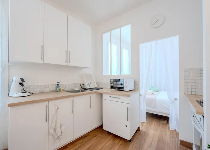 Le Picaflor Clim Wifi Hyper Centre Apartamento