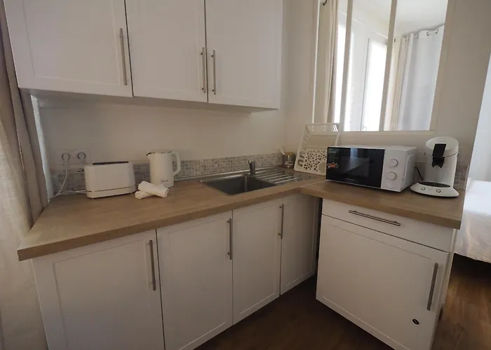 Le Picaflor Clim Wifi Hyper Centre Apartamento