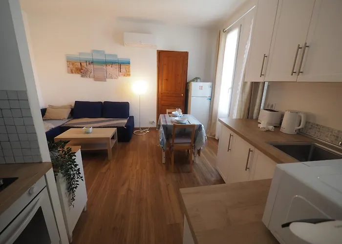 Apartamento Le Picaflor Clim Wifi Hyper Centre