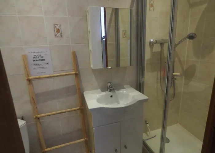 Apartamento Le Picaflor Clim Wifi Hyper Centre *